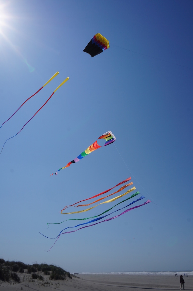 Long Beach, Washington kites