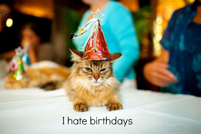 Why Birthdays Suck And It Is Not For The Obvious Reason – A New Life ...
